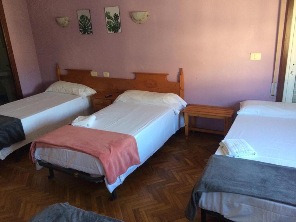 Albergue Hostal Telmo 투이 외부 사진